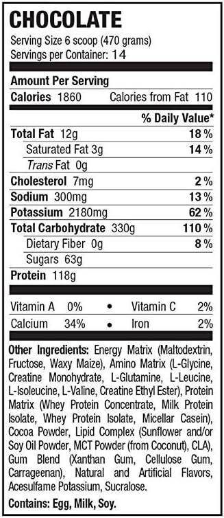 Russian Bear Weight Gain Formula 10000