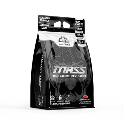 Core Champs Mass Gainer